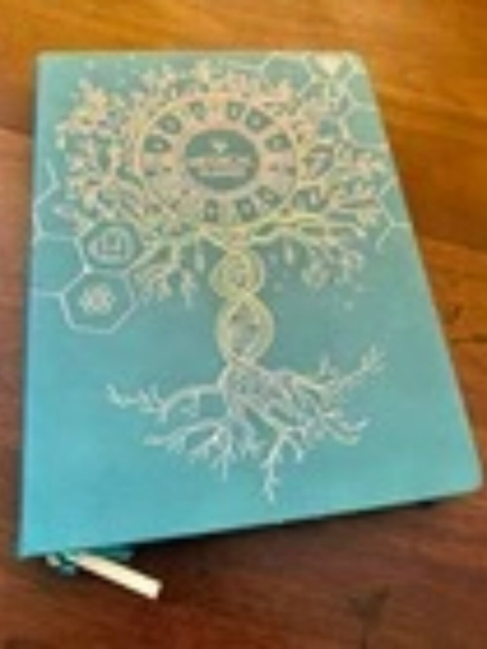 Legend Medical Planner / Health and Wellness / Organizer Teal Gold
